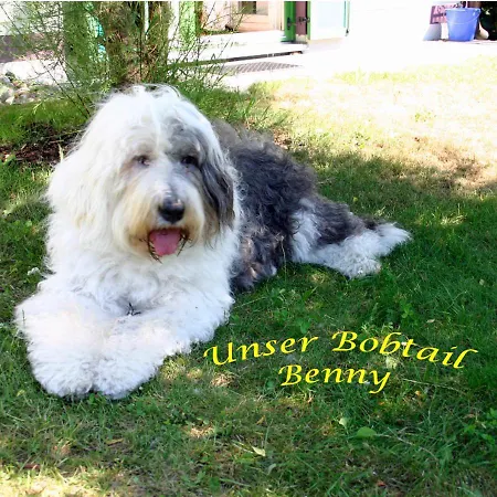 Haus Benny Apartment Dranske